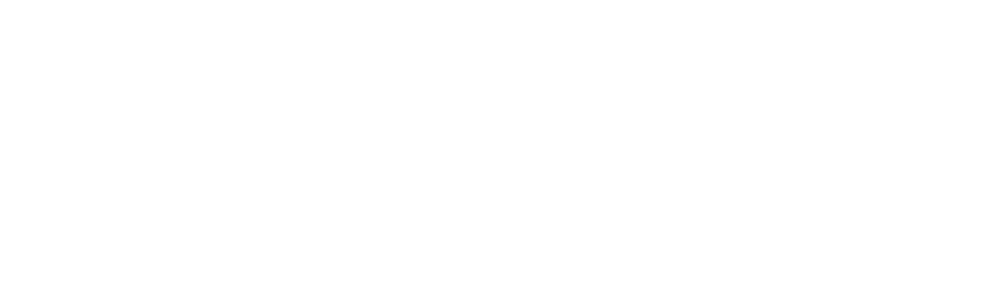 Zari